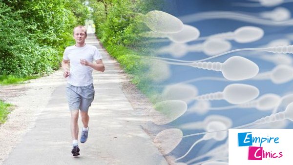 connection-between-exercise-sperm-quality
