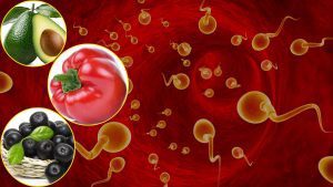 Superfoods to increase sperm count
