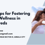 Fostering Sexual Wellness in Newlyweds